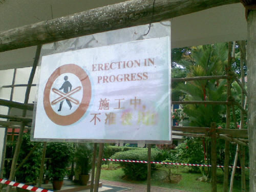 sign+bad+erections.jpg (image)