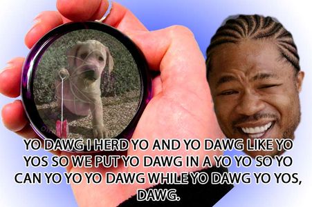 yo-dawg-yo-yos.jpg 800×532 pixels