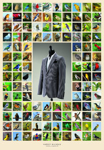 Harvey Nichols: Birds | Ads of the World: Creative Advertising Archive &amp; Community