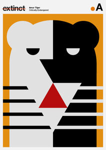 Flickr Photo Download: Amur Tiger card