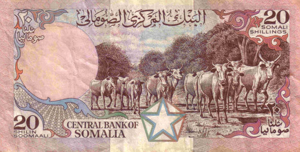 Flickr Photo Download: SOMALIA