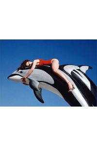 guy-bourdin-dolphin.jpg 400×275 pixels