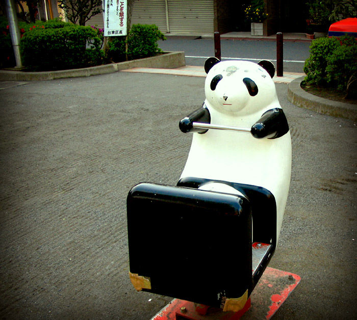 Flickr Photo Download: panda
