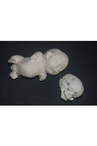 Dezeen   » Blog Archive   » The Foetus Project by Jorge Lopes Dos Santos