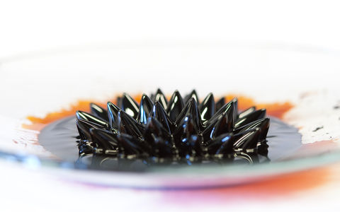 Flickr Photo Download: Ferrofluid