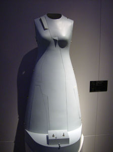 Flickr Photo Download: Remote Control Dress