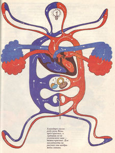 Flickr Photo Download: 05 Russian elementary school textbook on The Miracle of Life, 1992