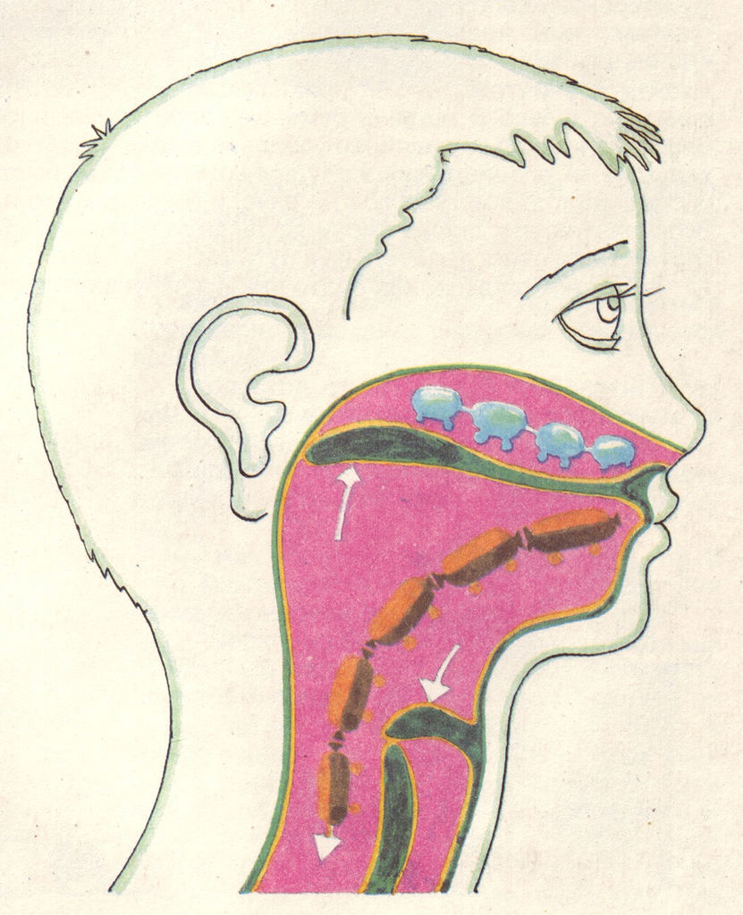 Flickr Photo Download: 19 Russian elementary school textbook on The Miracle of Life, 1992