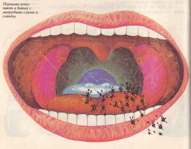 Flickr Photo Download: 11 Russian elementary school textbook on The Miracle of Life, 1992