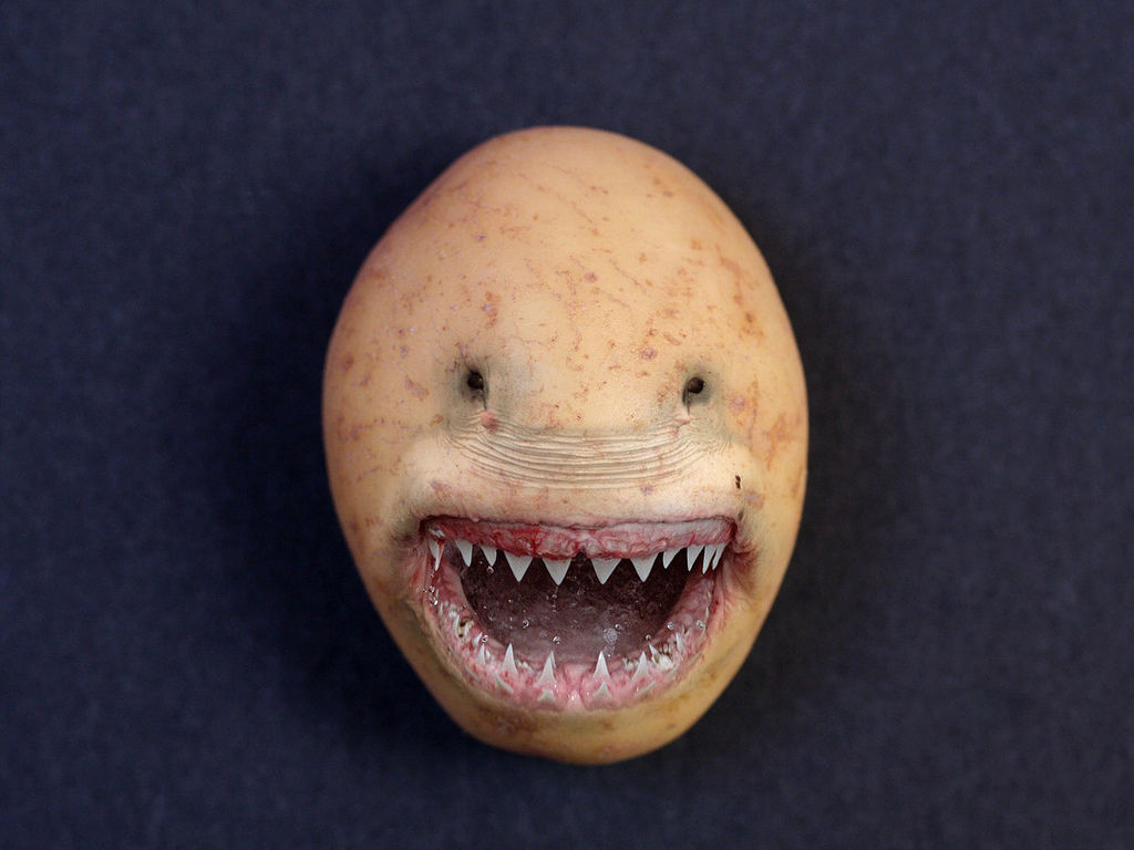 Flickr Photo Download: Potato Shark