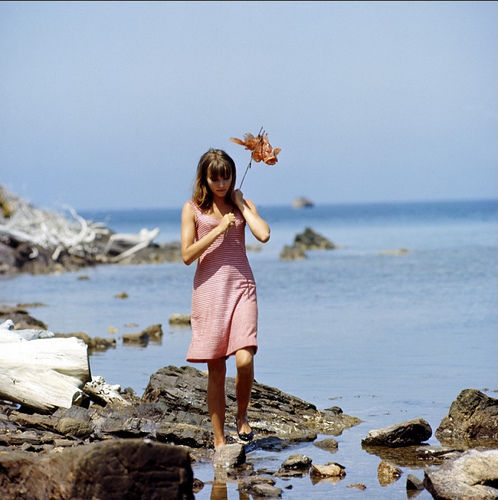 Pierrot Le Fou 1965  Flickr - Photo Sharing