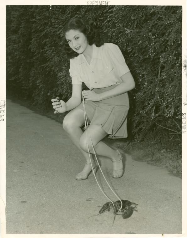 All available sizes | Evonne Kummer with lobster at NY World Fair (via nypl) | Flickr - Photo Sharing!