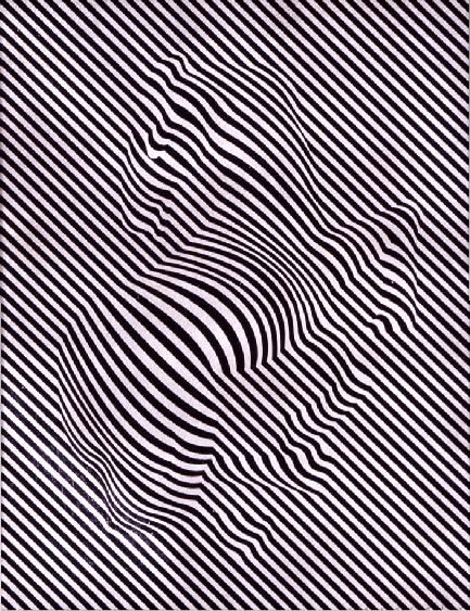 zebra.jpg 433×563 pixels