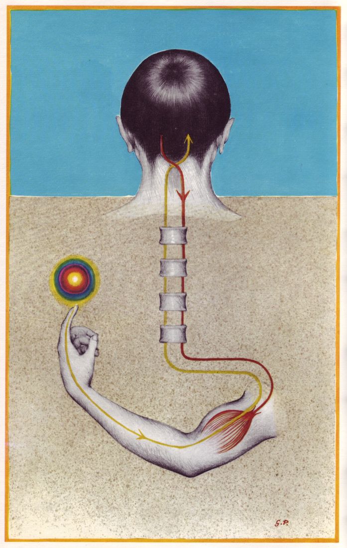 All available sizes | 02 L'influx nerveux de la contraction musculaire, illus. Pascalini (Le Livre de Sante, v.5, 1967) | Flickr - Photo Sharing!