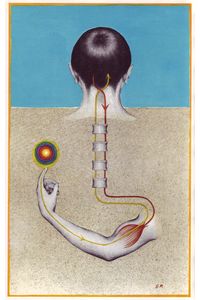All available sizes | 02 L'influx nerveux de la contraction musculaire, illus. Pascalini (Le Livre de Sante, v.5, 1967) | Flickr - Photo Sharing!