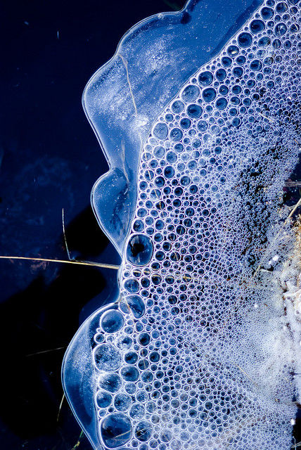 bubbles aggregate under the ice  Flickr - Photo Sharing