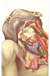 Toutes les tailles  04 Anatomie de la thyroide, illus. Michel Simeon Le Livre de Sante, v.7, 1967  Flickr : partage de photos 