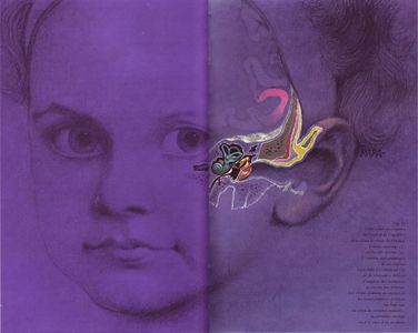 All sizes | 04 Les organes de l'ouie et de l'equilibre, illus. Falk (Le Livre de Sante, v.8, 1967) | Flickr - Photo Sharing!