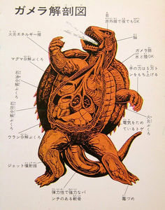 Illustrated anatomy of Gamera and foes ~ Pink Tentacle