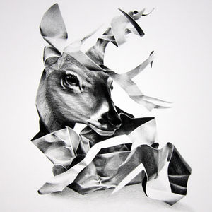David B. Smith Gallery | Christina Empedocles, Untitled (deer)