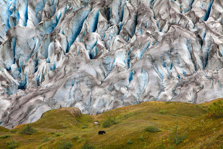 National Geographic Photo Contest 2011 - Alan Taylor - In Focus - The Atlantic