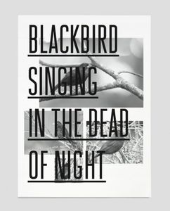 Blackbird  Trend List