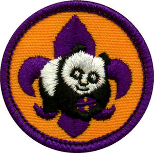 Cub-Scout-World-Conservation-Award.jpg 600×599 pixels