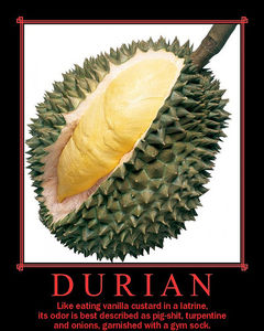 Durian on Flickr - Photo Sharing!