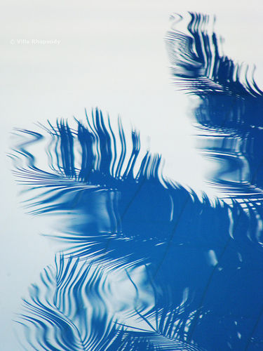 Pool reflections | Flickr - Photo Sharing!