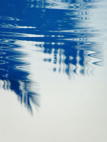Palm tree ripples | Flickr - Photo Sharing!
