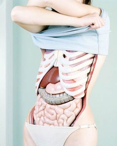 Juxtapoz Magazine - Anatomy Revealed by Koen Hauser  Current