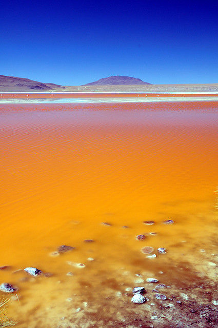 Laguna Colorada Red Lagoon, Bolivia  Flickr - Photo Sharing