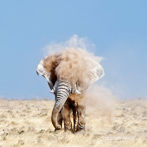 National Geographic Photo Contest 2012 - The Big Picture - Boston.com