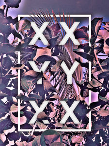 XXYYXX - Samüel Johnson