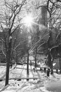 Beautiful Black and Photos of Central Park After the Blizzard - My Modern Metropolis