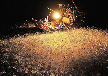 National Geographic Photo Contest 2012, Part II - In Focus - The Atlantic