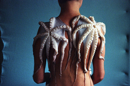 Octopy | Flickr : partage de photos !