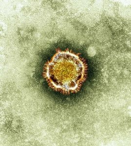 Un premier cas confirmé de coronavirus en France - France Info