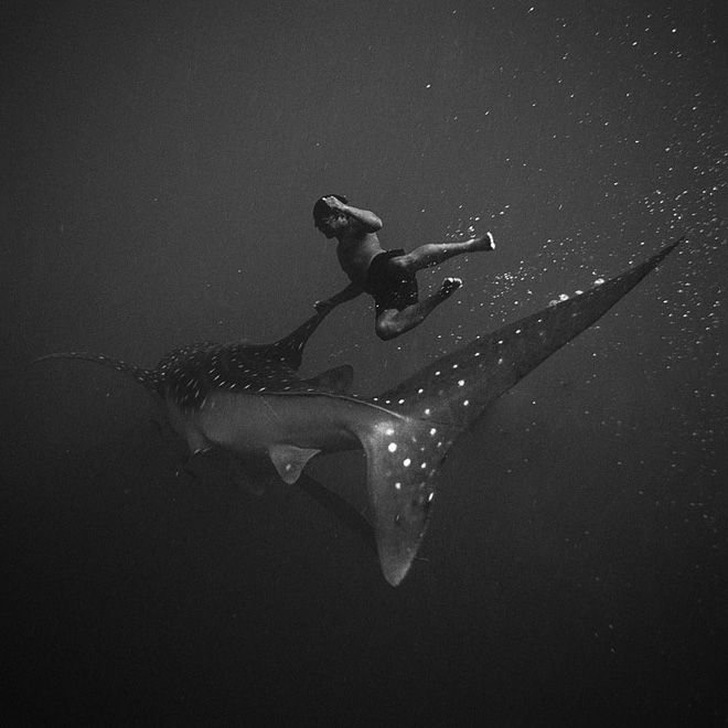 BERG BLOG - Stunningly evocative underwater images by...