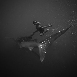 BERG BLOG - Stunningly evocative underwater images by...