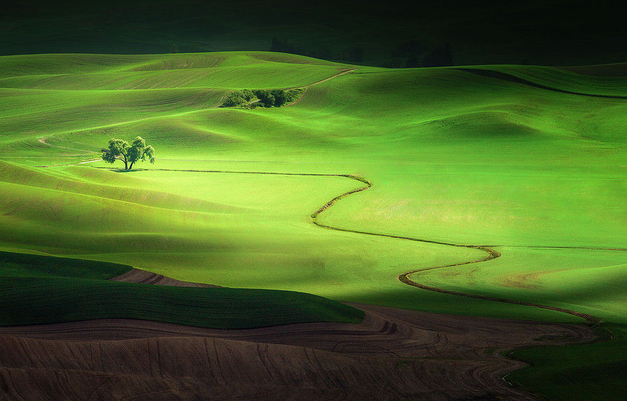 500px   Photo "Shadows and Light" by Jesse Summers