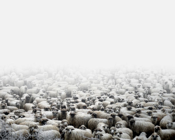 Untouched: A Portrait of Romania by Tamas Dezso - LightBox