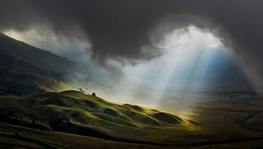 2013 National Geographic Photo Contest - Photos - The Big Picture - Boston.com