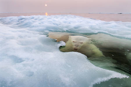 2013 National Geographic Photography Contest Winners - Photos - The Big Picture - Boston.com