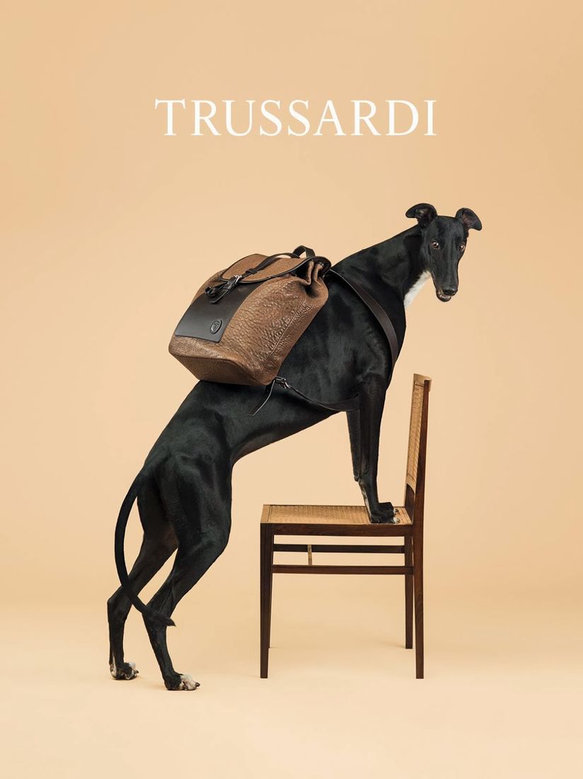 The Essentialist - Fashion Advertising Updated Daily: Trussardi Ad Campaign Spring/Summer 2014
