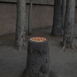 Pizza in the Wild / by Jonpaul Douglass