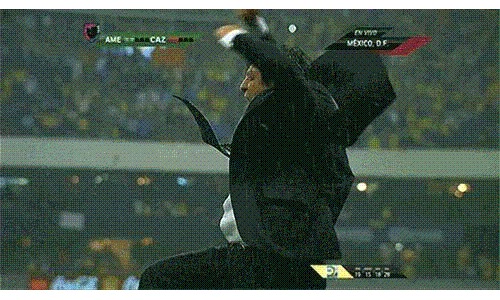 Miguel Herrera, Mexico: Meet the most GIF-worthy man at the World Cup.