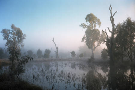 Tumut Wetlands - Jamie Hladky