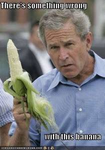 [Image - 516895] | George W. Bush | Know Your Meme