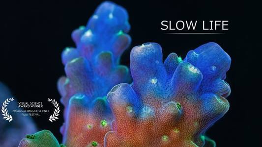 Slow Life on Vimeo